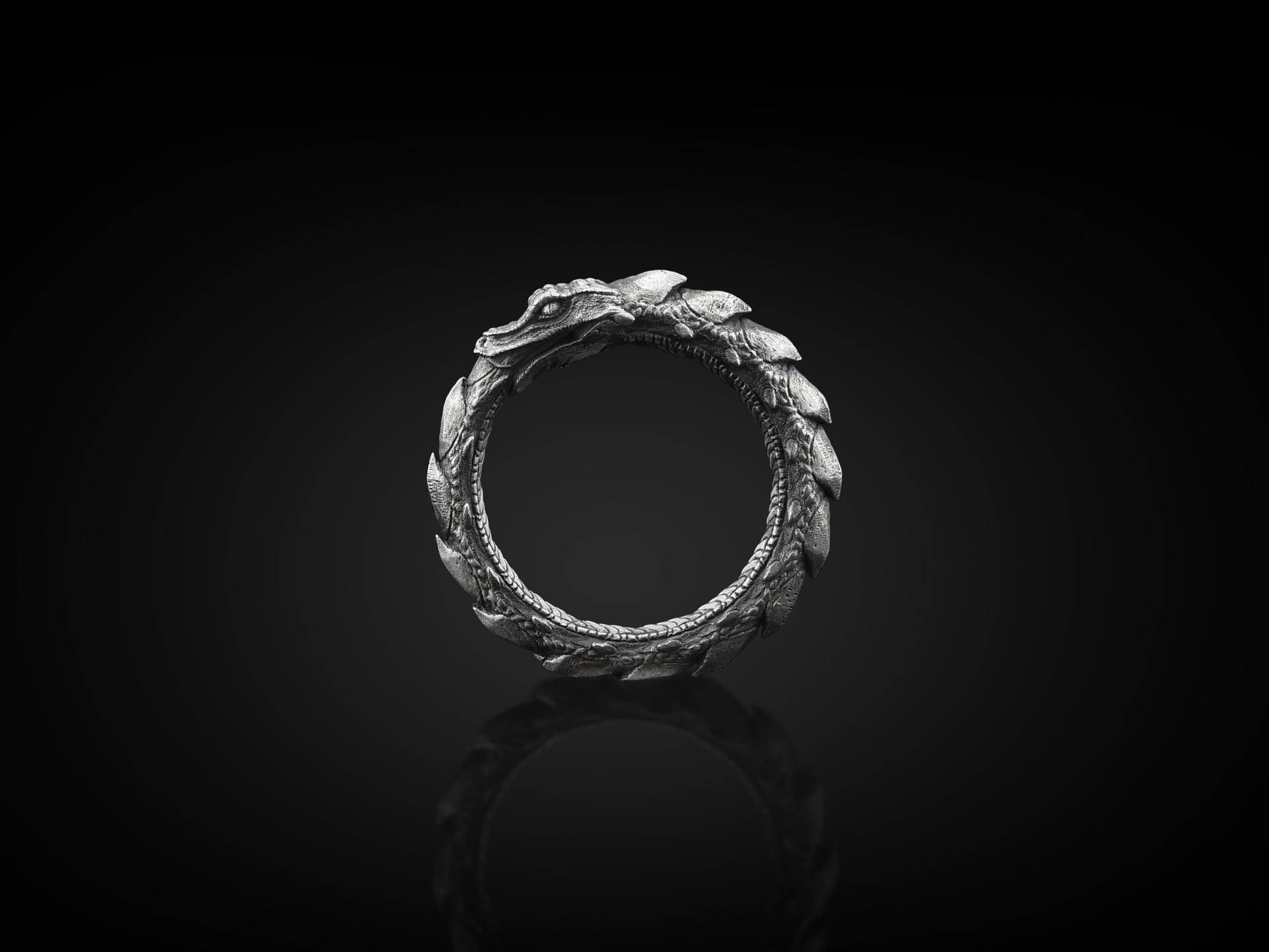 Ouroboros Drache Sterling Silber Ring Für Männer, Schlange Mythologie Ring, Schmuck, Einzigartige Männer von BySilverStone