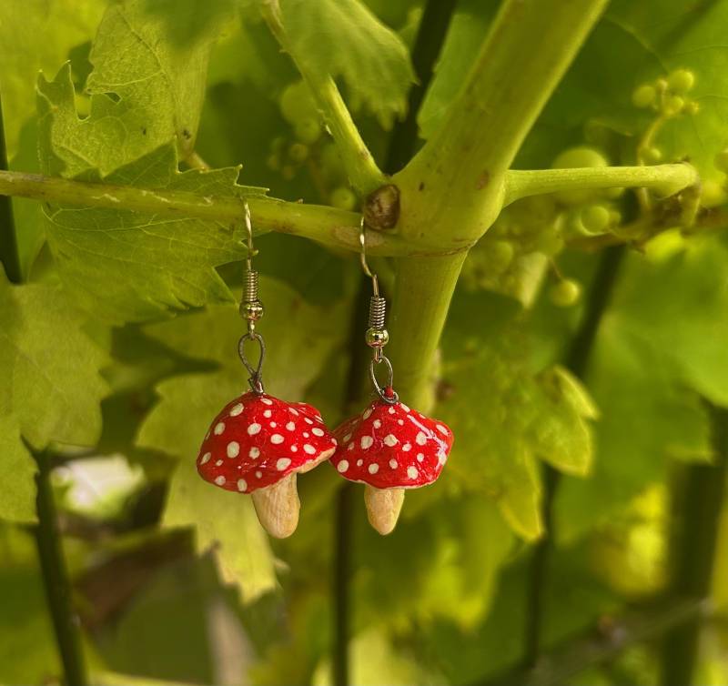 Pilzohrringe, Fairycore Ohrringe, Hängeohrringe, Fliegenpilz, Glückspilz, Naturohrringe, Statement Ohrringe Pilzohrringe, Fairycore Ohrringe, Hängeohrringe, Fliegenpilz, Glückspilz, Naturohrringe, Statement Ohrringe von ByTessii