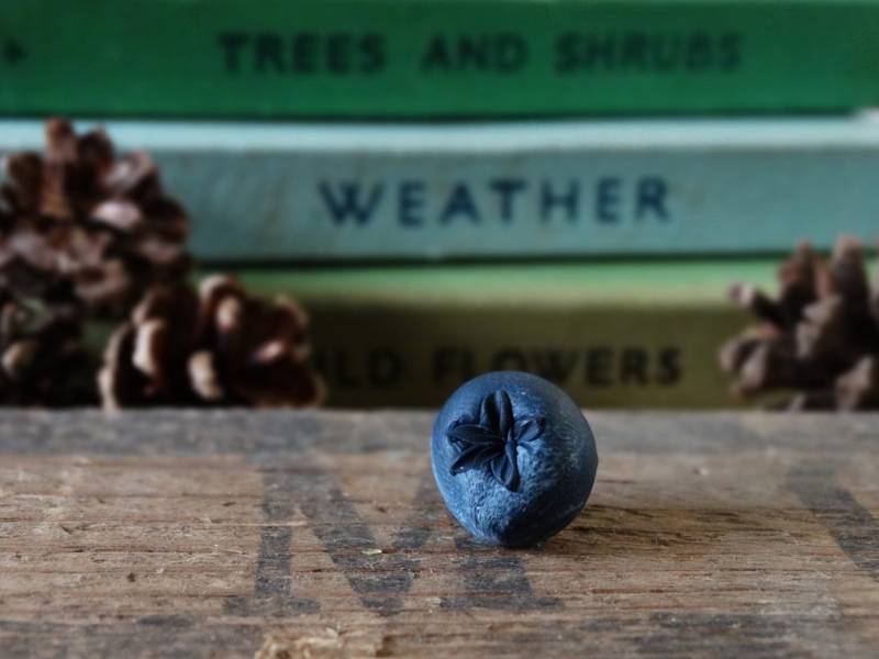 Blaubeere Pin Fimo Anstecknadel, Garten Geschenk, Am Schuppen Blaubeere Pin Fimo Anstecknadel, Garten Geschenk, Am Schuppen von BytheShed