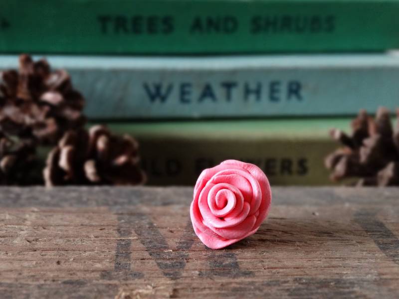 By The Shed - Pink Rose Anstecker Blumen Garten Gartenarbeit Geschenk Einzigartiges Rosengarten Schmuck Floral Brosche, Krawattennadel By The Shed - Pink Rose Anstecker Blumen Garten Gartenarbeit Geschenk Einzigartiges Rosengarten Schmuck Floral Brosche, Krawattennadel von BytheShed