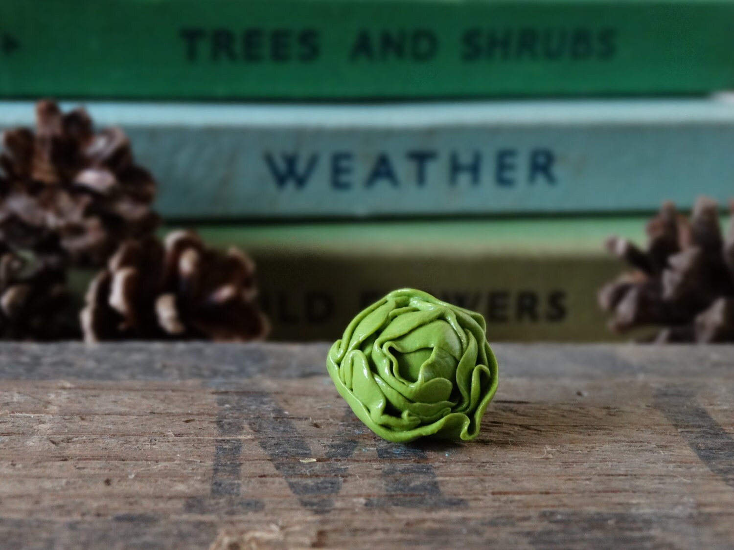 Der Schuppen Kopfsalat Pin Badge - Lapel Abzeichen Krawatte Grün Salat Mittagessen Schmuck Obst Gartenbau Zuteilung Grünen Gemüsegarten von BytheShed