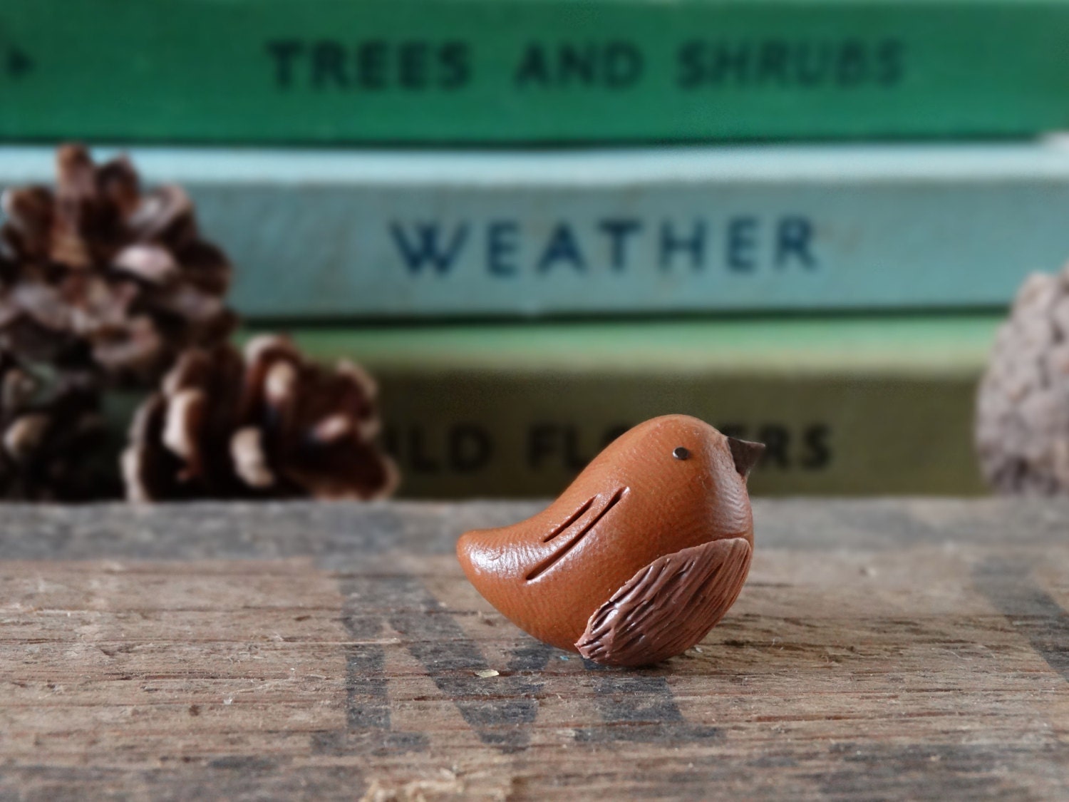Die Schuppen Zaunkönig Vogel Pin Badge - Lapel Abzeichen Tie Garten Vögel Frucht Zuteilung Vogelbeobachtung Braun Jenny Wren Twitchers von BytheShed