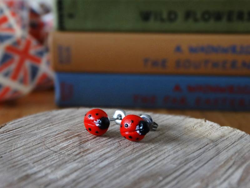 Durch Das Schuppen Rot Ladybird Marienkäfer Ohrringe - Garten-Insekten Geschenk Einzigartig Black Spot The Good Life Gemüse Blumen von BytheShed