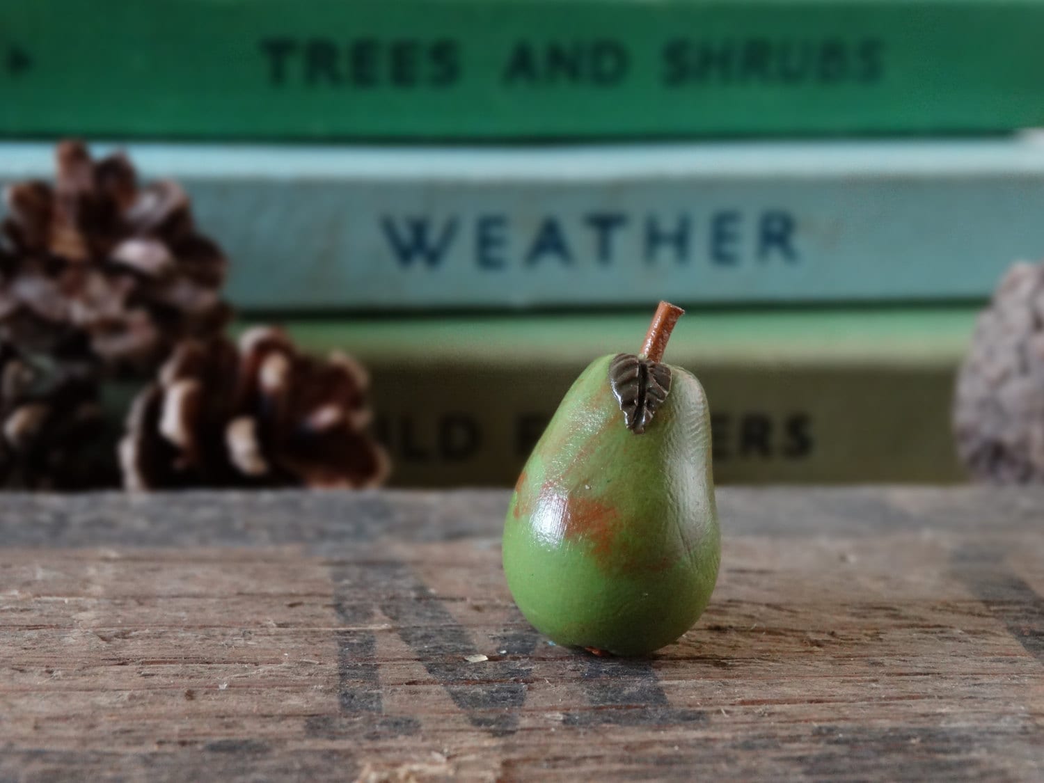 Durch Den Schuppen Birne Grün Pin Badge - Lapel Abzeichen Tie Gemüse Obst Zuteilung Gartenbau Garten Geschenk Schrulligen Gift Apfelwein von BytheShed