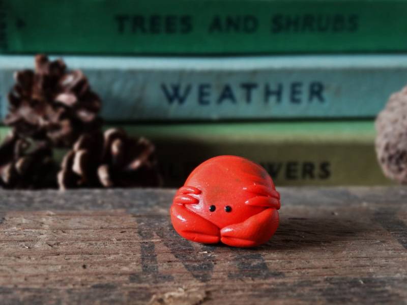 Durch Den Schuppen Krabbe Sealife Pin Badge - Orange Rot Meer Meer, Strand, Wildtiere Handgemacht, Geschenk, Küste, Krebstiere Brosche, Krawatte Durch Den Schuppen Krabbe Sealife Pin Badge - Orange Rot Meer Meer, Strand, Wildtiere Handgemacht, Geschenk, Küste, Krebstiere Brosche, Krawatte von BytheShed