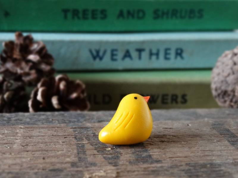 Durch Den Schuppen Küken Gelb Pin Badge - Lapel Abzeichen Tie Garten Vögel Frucht Zuteilung Vogelbeobachtung Geschenk Ostergeschenk Durch Den Schuppen Küken Gelb Pin Badge - Lapel Abzeichen Tie Garten Vögel Frucht Zuteilung Vogelbeobachtung Geschenk Ostergeschenk von BytheShed