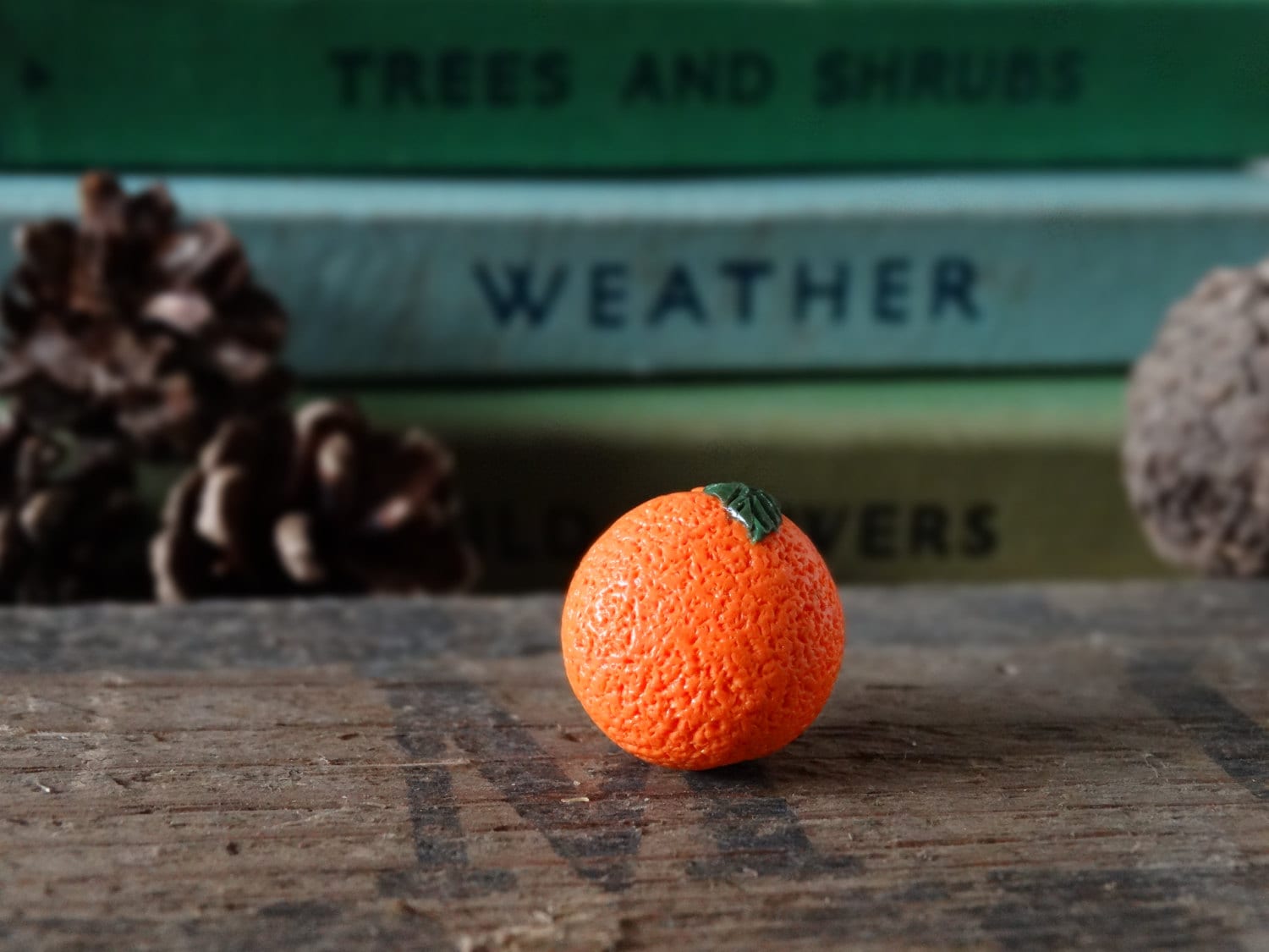 Durch Den Schuppen Orange Frucht Pin Badge - Revers Abzeichen Krawatte Gemüse Obst Zuteilung Garten Geschenk Schrulligen Citrus von BytheShed