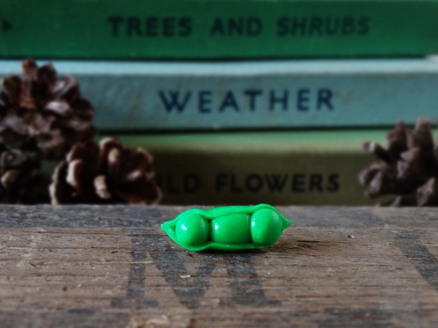 Durch Den Schuppen Pea Pod Grün Pin Abzeichen - Revers Tie Gemüse Obst Zuteilung Gartenbau Garten Geschenk Schrulligen von BytheShed