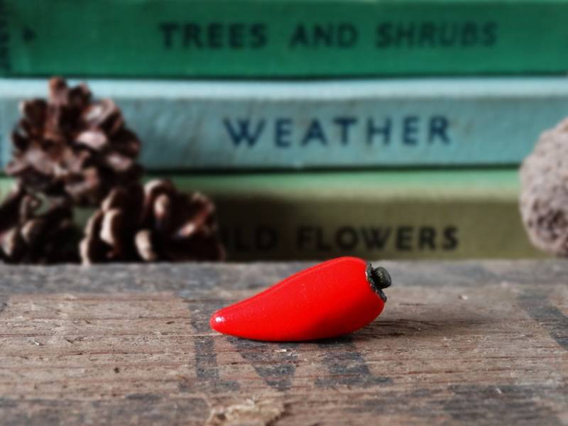 Durch Den Schuppen Red Hot Chili Pepper Pin Badge - Revers Abzeichen Krawatte Gemüse Obst Zuteilung Gartenbau Garten Geschenk Schrulligen Spaß Durch Den Schuppen Red Hot Chili Pepper Pin Badge - Revers Abzeichen Krawatte Gemüse Obst Zuteilung Gartenbau Garten Geschenk Schrulligen Spaß von BytheShed