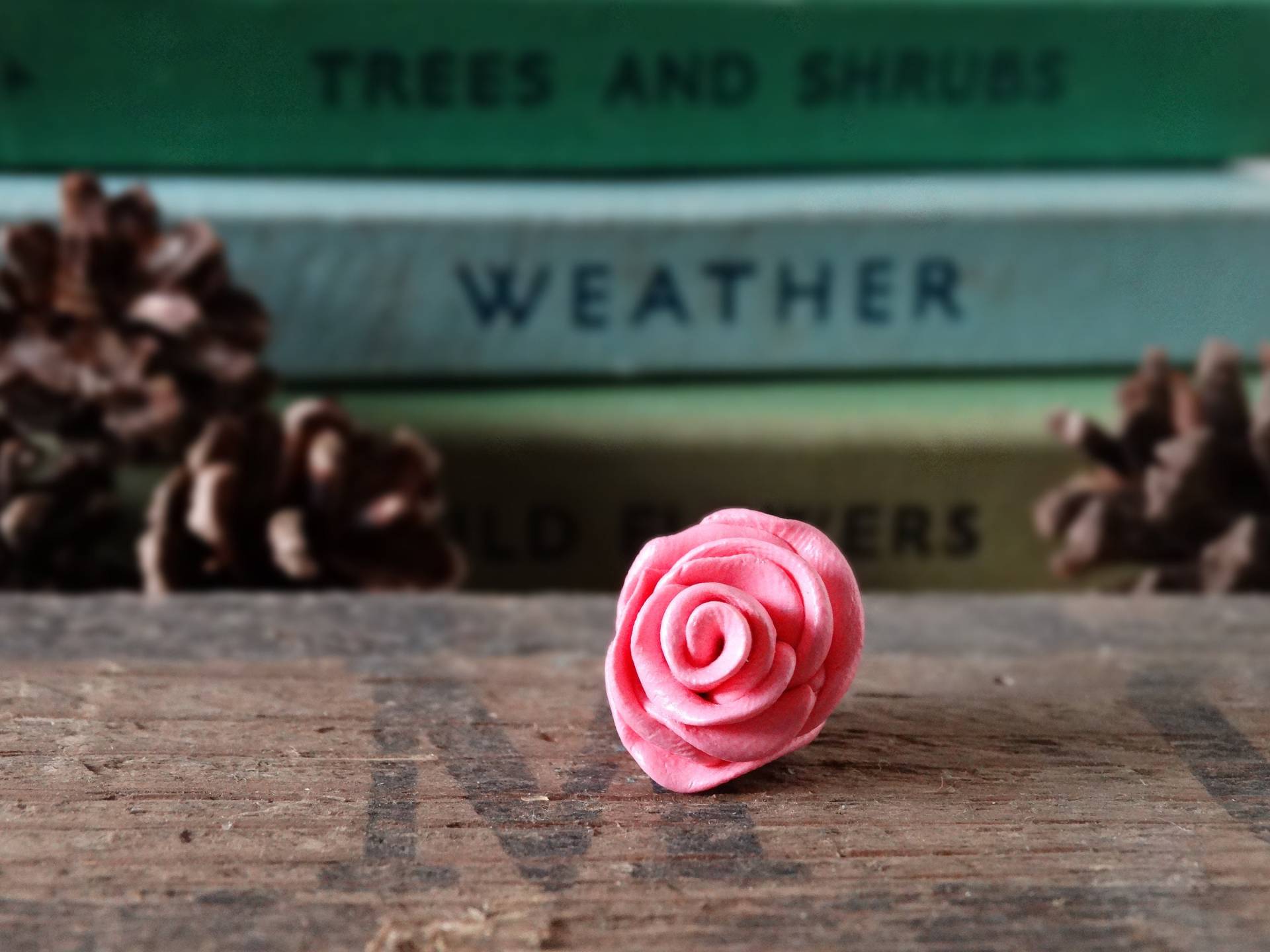 Durch Den Schuppen - Rosa Rose Pin Badge Blumen Garten Gartenarbeit Geschenk Rosengarten Unikatschmuck Brosche Krawattennadel von BytheShed