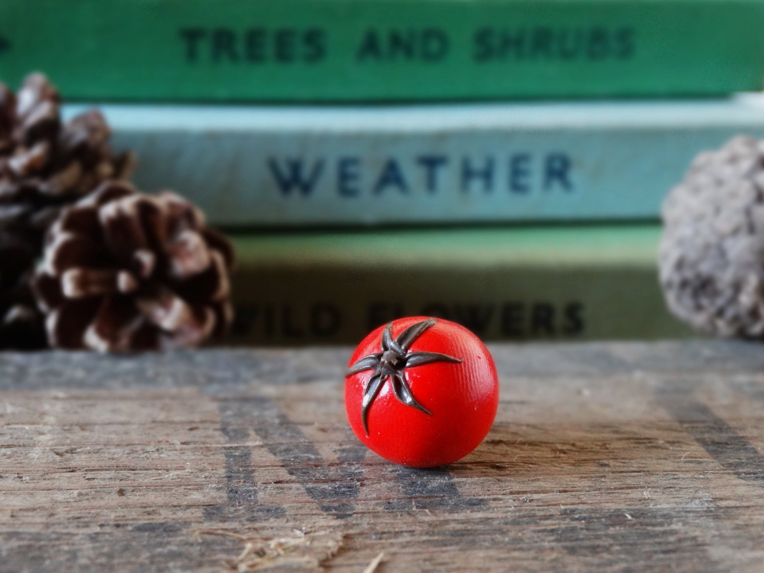 Durch Den Schuppen Tomaten Rot Anstecker - Krawattennadel Gemüse Obst Kleingarten Gartengeschenk Schrullig Sommerspaß von BytheShed