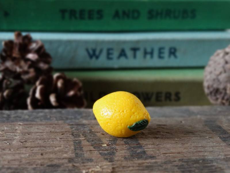 Durch Den Schuppen-Zitronengelb-Ansteckpin - Lapel Abzeichen Tie Pin Gemüse Obst Zuteilung Gartenbau Garten Geschenk Schrulligen Sommer Citrus von BytheShed