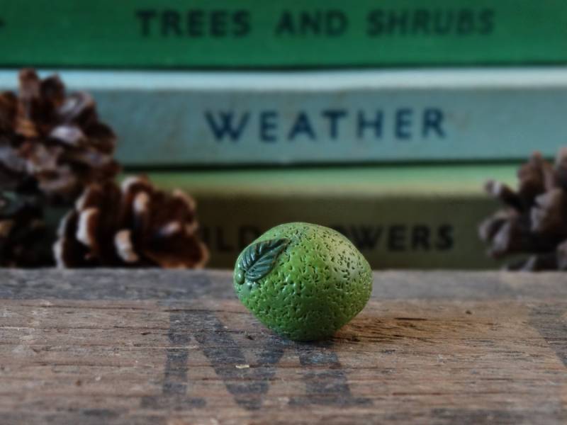 Durch Die Halle Kalk Grün Pin Badge - Revers-Abzeichen Krawatte Gemüse Obst Zuteilung Gartenbau Garten Geschenk Schrulligen Sommer Zitrusfrüchte von BytheShed