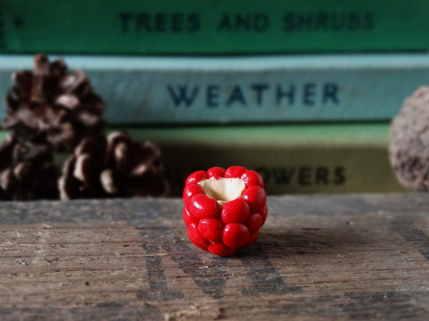 Durch Die Schuppen-Himbeere Rot Ansteckpin - Lapel Abzeichen Tie Pin Gemüse Obst Zuteilung Gartenbau Garten Geschenk Schrulligen Sommerspass von BytheShed