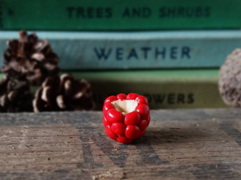 Durch Die Schuppen-Himbeere Rot Ansteckpin - Lapel Abzeichen Tie Pin Gemüse Obst Zuteilung Gartenbau Garten Geschenk Schrulligen Sommerspass von BytheShed