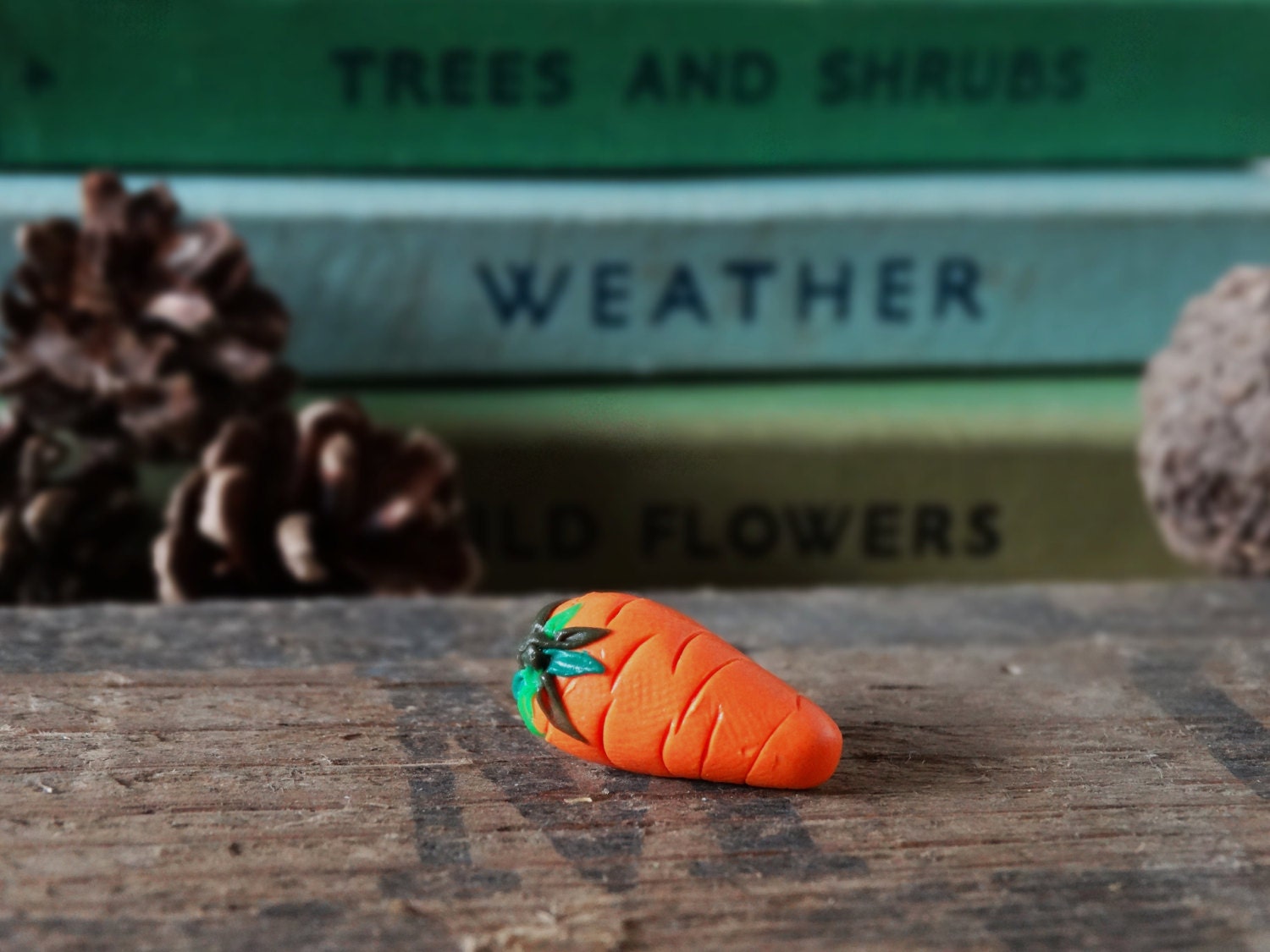 Durch Die Schuppen-Karotte Orange Pin Badge - Lapel Abzeichen Tie Gemüse Obst Zuteilung Gartenbau Garten Geschenk Carot Schrulligen Spaß von BytheShed