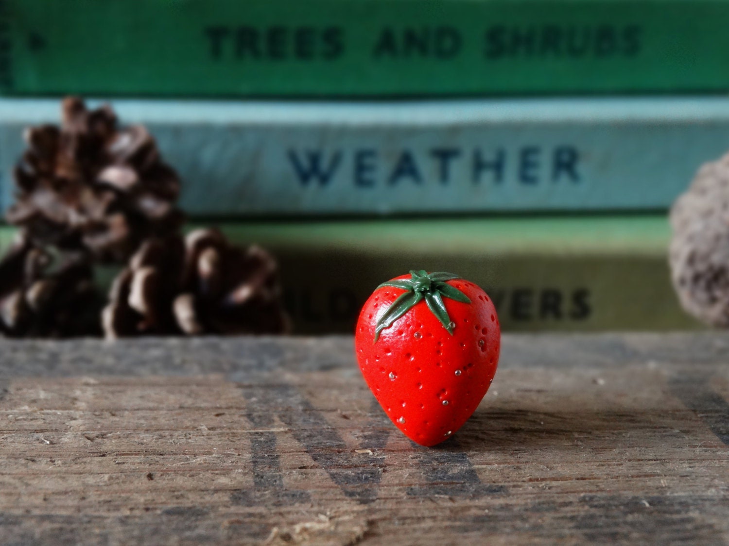 Erdbeere Anstecker Rote Polymer Clay Anstecknadel Garten Geschenk - Am Schuppen von BytheShed