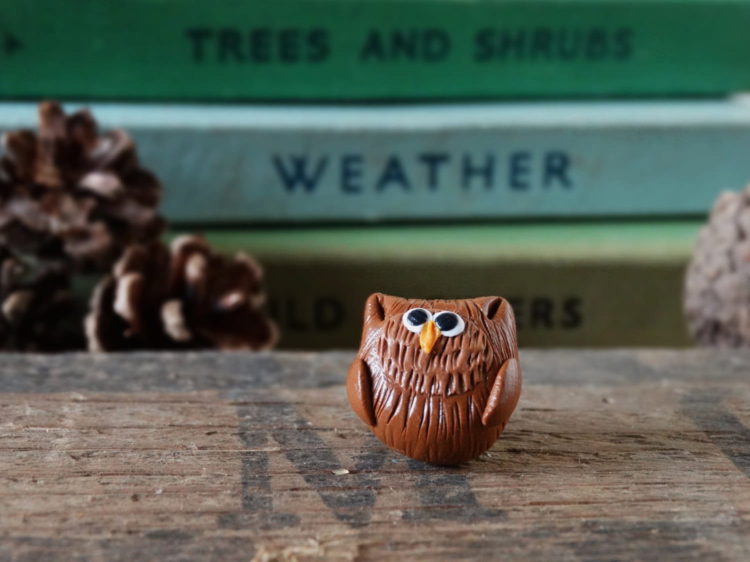 Eulen Anstecker Garten Vogel Brosche, Handgefertigt Aus Polymer Clay - Am Schuppen von BytheShed