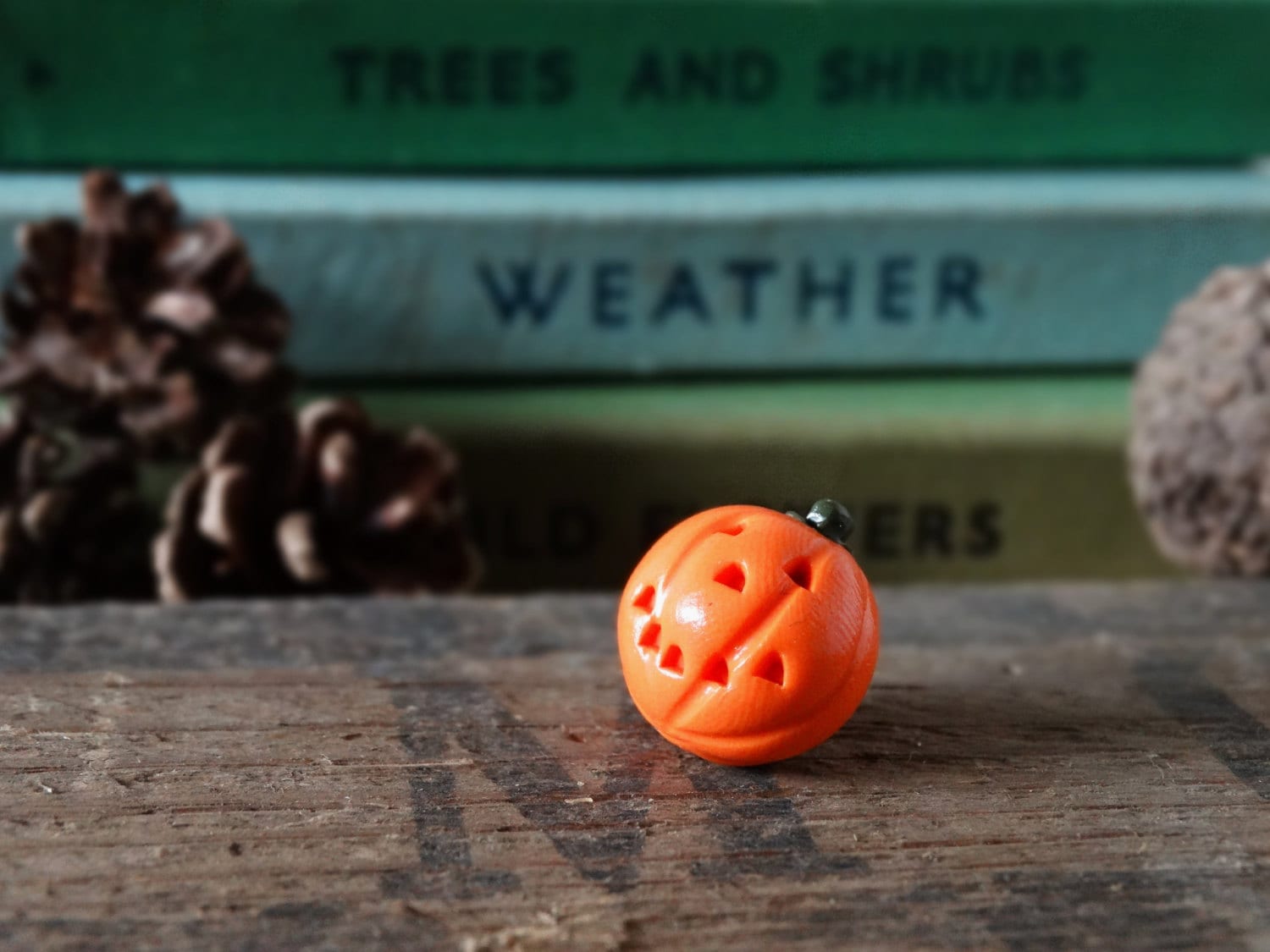 Kürbis Anstecknadel Orangefarbene Polymer Clay Anstecknadel - Am Schuppen von BytheShed