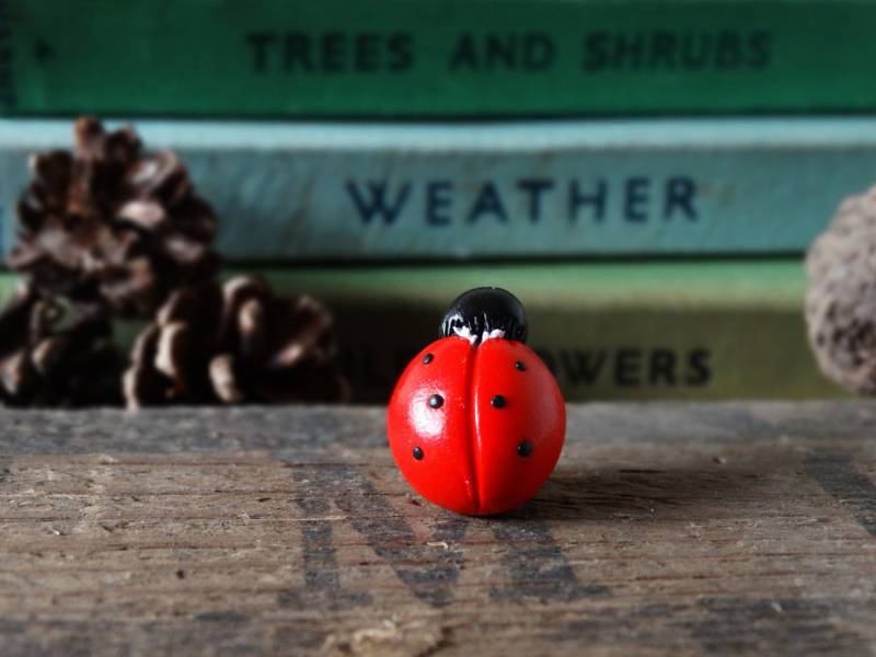 Marienkäfer Pin Abzeichen Polymer Clay Brosche Handarbeit - Am Schuppen Marienkäfer Pin Abzeichen Polymer Clay Brosche Handarbeit - Am Schuppen von BytheShed