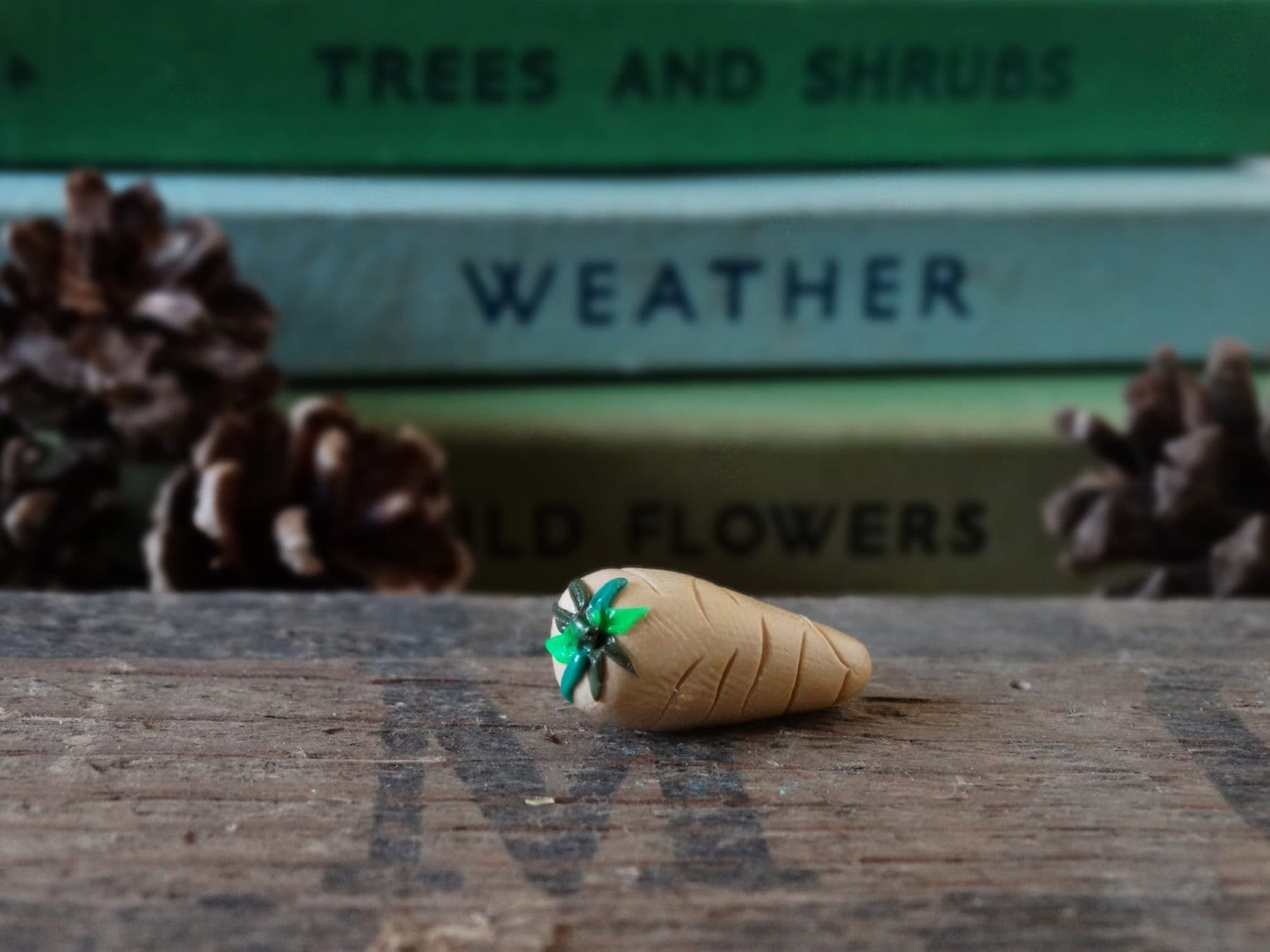 Pastinaken Anstecker Handgemachte Gemüse Anstecknadel Aus Polymer Clay von BytheShed