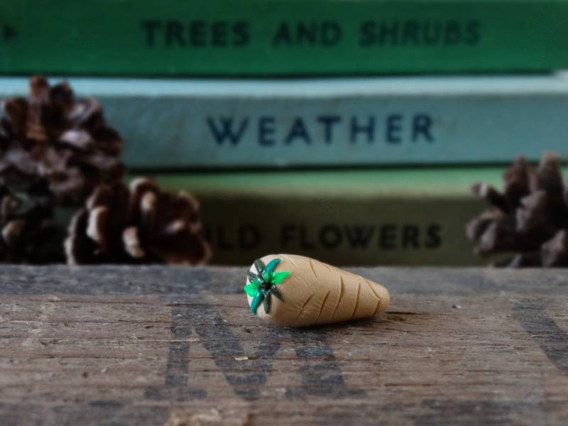 Pastinaken Anstecker Handgemachte Gemüse Anstecknadel Aus Polymer Clay Pastinaken Anstecker Handgemachte Gemüse Anstecknadel Aus Polymer Clay von BytheShed