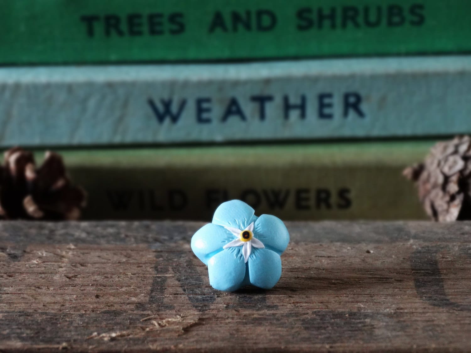 Vergessen Sie Durch Den Schuppen - Mich Nicht Floral Blau Pin Badge Blumen Garten Garten-Ringelblume Geschenk Einzigartige Vorhanden Schmuck Brosche von BytheShed