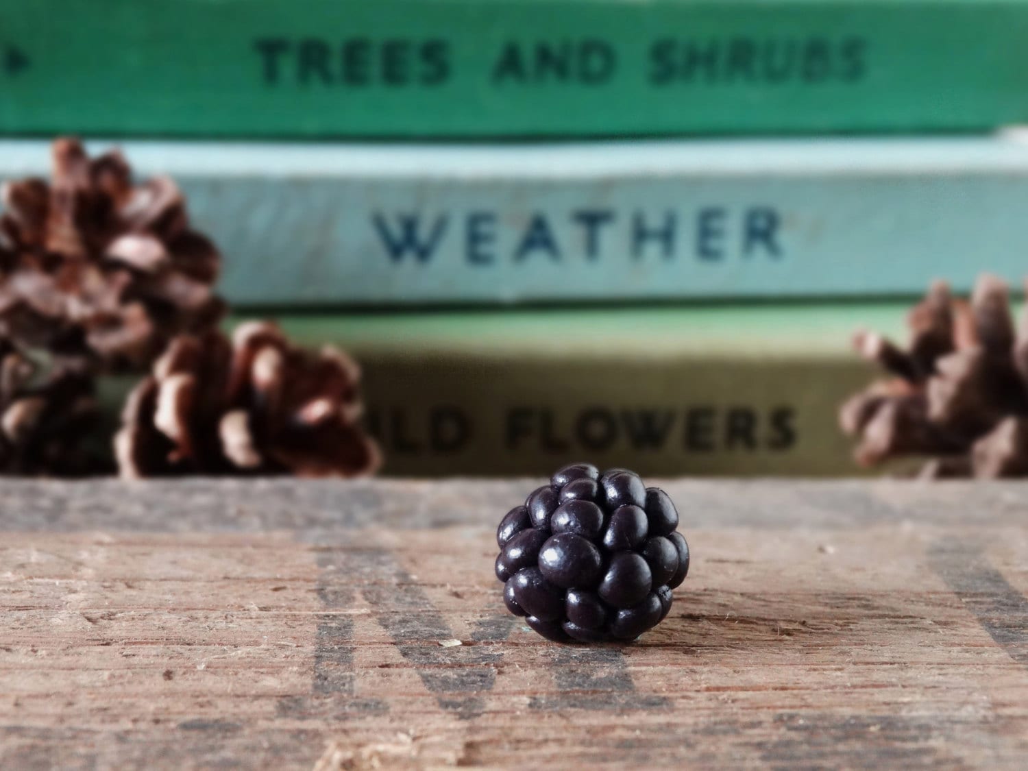 Von Den Schuppen Blackberry Bramble Lila Pin Badge - Lapel Abzeichen Tie Gemüse Obst Zuteilung Gartenbau Garten Geschenk Black von BytheShed