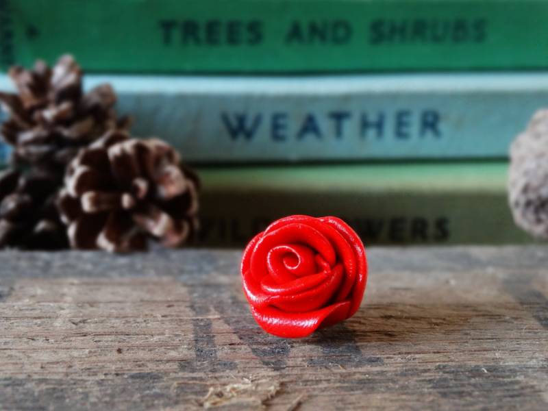 Von Schuppen - Rote Rose Pin Badge Blumen Garten Gartenarbeit Gift Einzigartige Geschenk Rosengarten Schmuck Brosche Krawatte Von Schuppen - Rote Rose Pin Badge Blumen Garten Gartenarbeit Gift Einzigartige Geschenk Rosengarten Schmuck Brosche Krawatte von BytheShed