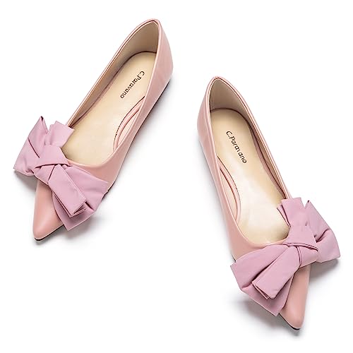 C.Paravano Ballerinas Damen Elegante und Bequeme Flachschuhe Spitze Ballerinas für den Alltag, Büro & Festliche Anlässe (40, Rosa) von C.Paravano