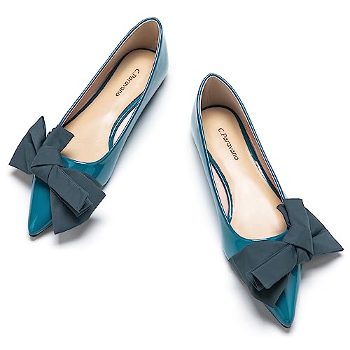 C.Paravano Ballerinas Damen Spitz Schuhe Elegant Flache Schuhe für Damen Ballerinas passen für alltäglichen Gebrauch, Büro, soziale Anlässe und Reisen(40, Blau) von C.Paravano