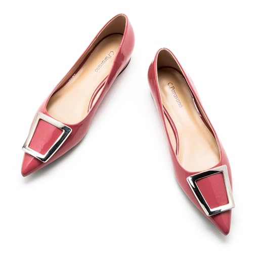 C.Paravano Flache Schuhe für Damen | Spitze Flache Schuhe | Damen Elegant Flache Schuhe (36,Rosa) von C.Paravano
