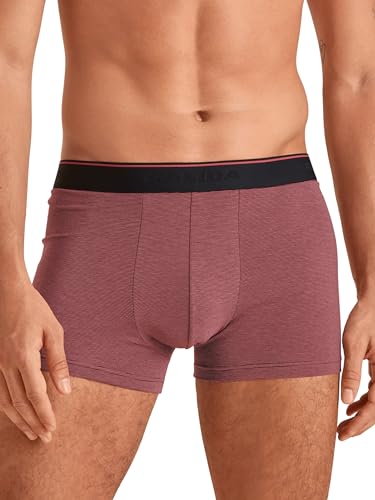 CALIDA Cotton Stretch New Boxer mit Softbund Herren von CALIDA