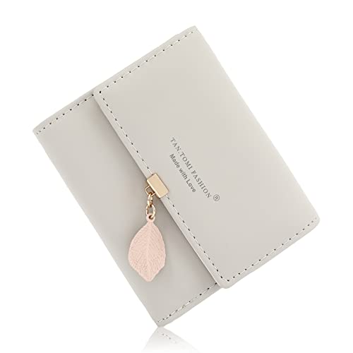 CALIYO Geldbeutel Damen aus Glattem und Weichem Synthetisches Leder Geldbörse klein Kurzformat Portemonnaie Farben mit vielen Fächern（Grau） von CALIYO