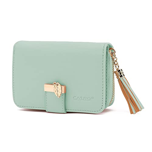 CALIYO Geldbeutel Damen aus glattem und weichem Synthetisches Leder, Geldbörse Damen klein und im Kurzformat, Portemonnaie mit Druckknopf und Reißverschluss und viele Fächer (Hellmint). von CALIYO