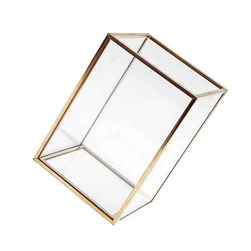 CALLARON 1 Stück Makeup Pinsel Aufbewahrungsbox Transparente Kosmetik Organizer mit Goldrand Leichter und Kompakter Behälter für Schminkpinsel für Schminktisch Langlebig und Praktisch von CALLARON