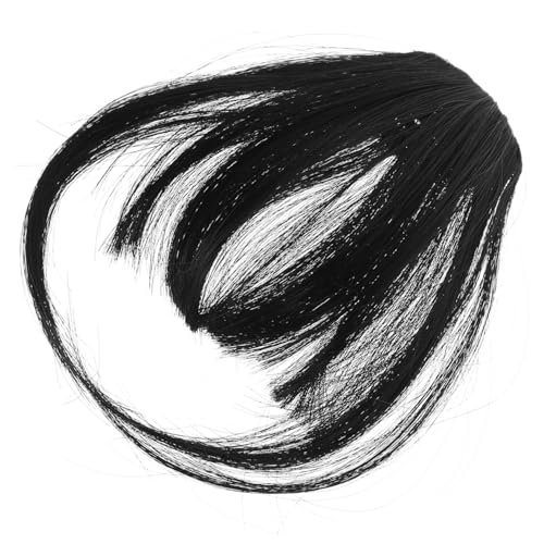 CALLARON 2 Stück Perückenstück Clip- für Frauen einseitig Zubehör Synthetische Haarverlängerungen Knall Haarpony für Frauen falscher Haarspange -Clip Hochtemperaturdraht von CALLARON