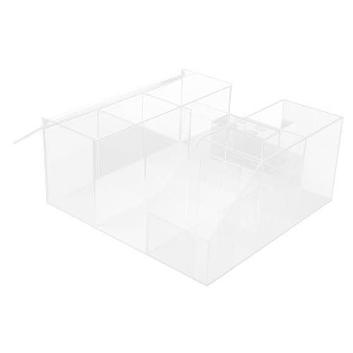 CALLARON Wimpernaufbewarungsbox Aufbewahrungsregal Für Wimpern-tools Pinzettenetui Für Wimpernverlängerungen Pinzettenbox Kosmetikbox Schreibtisch-organizer von CALLARON