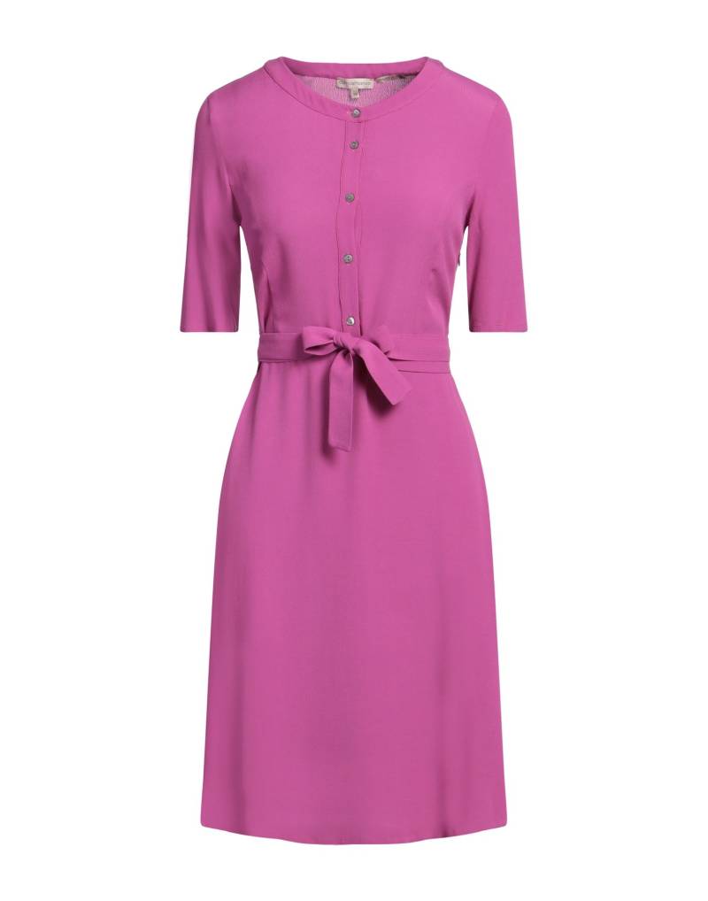 CAMICETTASNOB Midi-kleid Damen Malve von CAMICETTASNOB