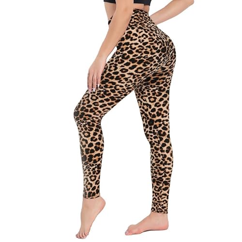 CAMPSNAIL Leggings Damen High Waist Blickdicht Leggins für Sport Yoga Gym(1er Pack-Leopard, 4XL) von CAMPSNAIL