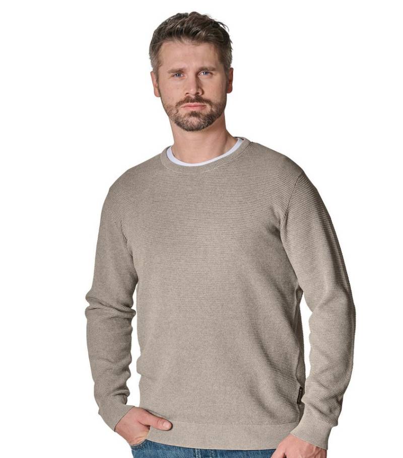 CASAMODA Strickpullover CASAMODA Pullover uni von CASAMODA