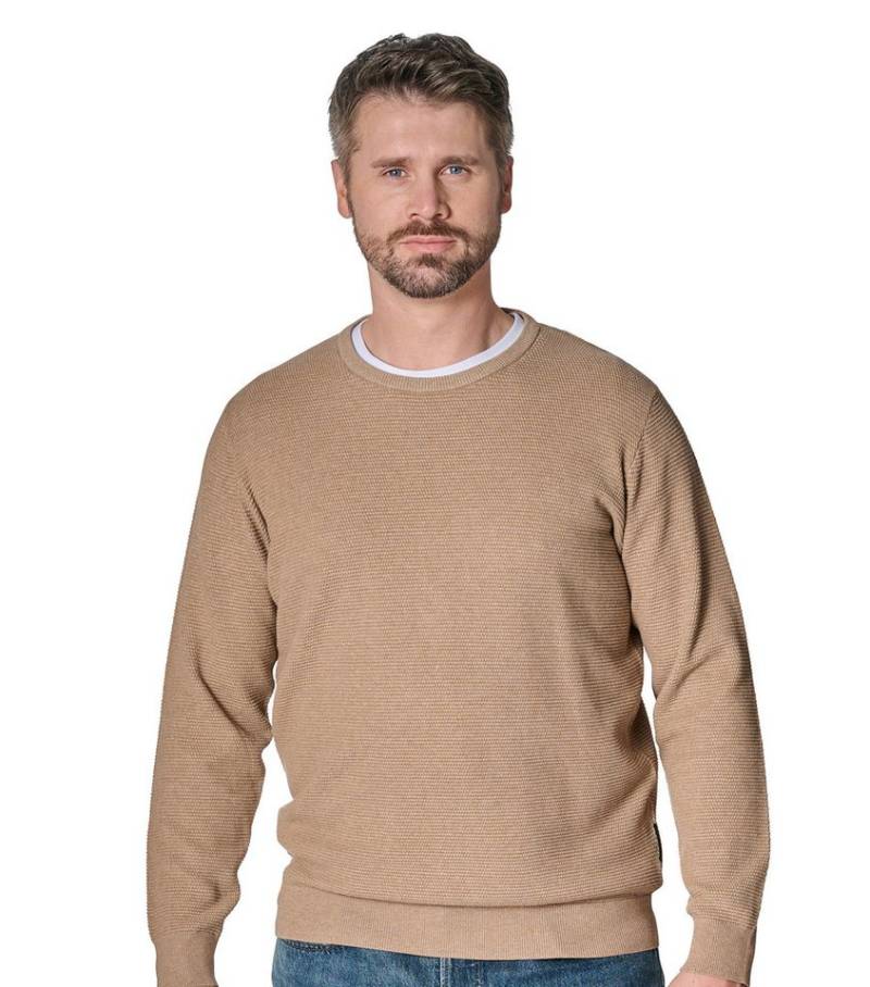 CASAMODA Strickpullover CASAMODA Pullover uni CASAMODA Strickpullover CASAMODA Pullover uni von CASAMODA
