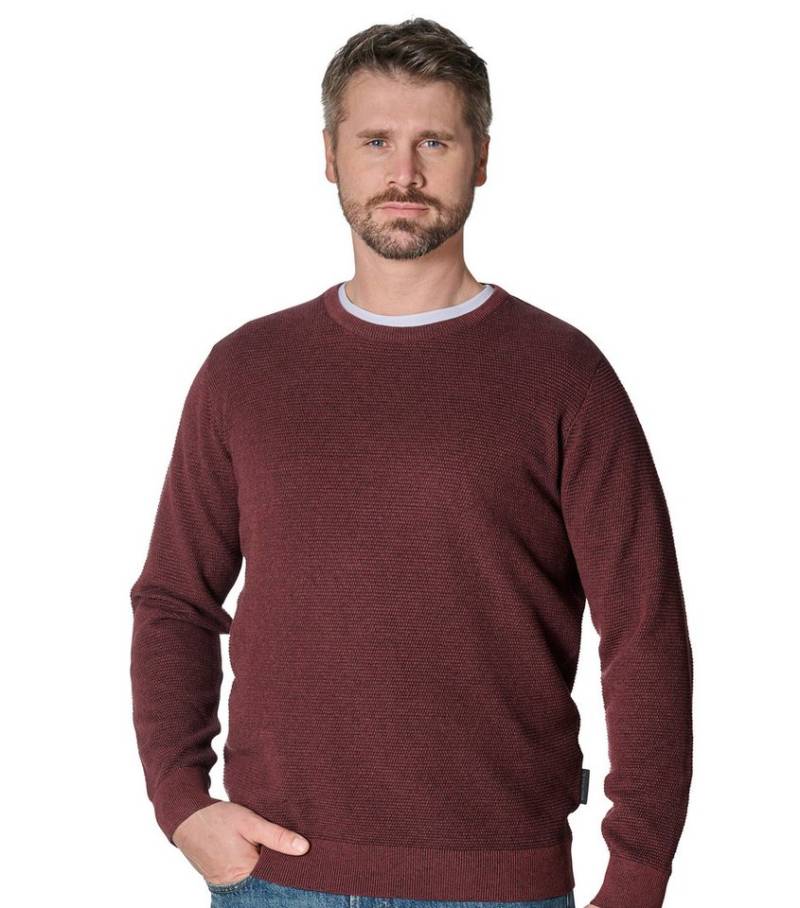 CASAMODA Strickpullover CASAMODA Pullover uni von CASAMODA