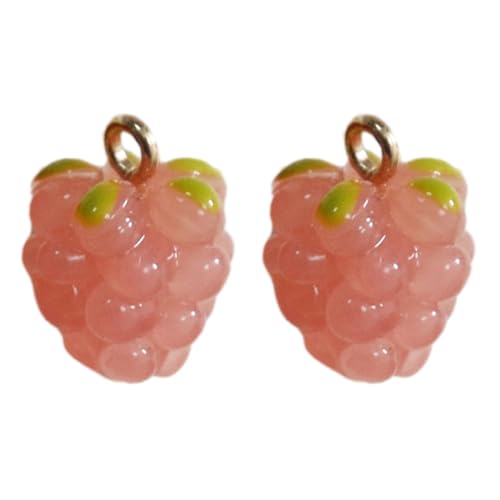 CASNO Halsketten, 2 wunderschöne Traubenfrucht-Anhänger, leichtes Harz-Charm-Zubehör, Schmuckherstellung, DIY-Schmuckzubehör, Harz von CASNO