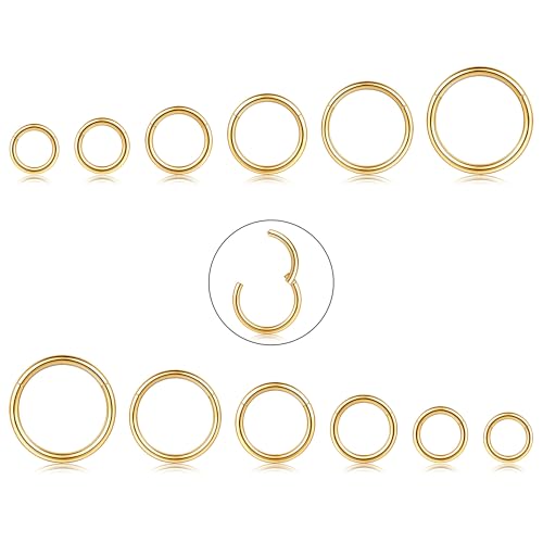 CASSIECA 12Pcs 16G Edelstahl Piercing Nasen für Damen Mädchen Nase Ringe Piercing Hoop Lippe Septum Ohr Piercing Körperschmuck 6-16MM von CASSIECA