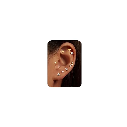 CASSIECA 8 Paar Ohrringe Gold Set, 316L Chirurgenstahl Ohrringe für Damen Herren Medizinische Ohrstecker und Creolen für Mehrfachpiercing 14K Vergoldet Helix Tragus Piercing Ohr Gold CASSIECA 8 Paar Ohrringe Gold Set, 316L Chirurgenstahl Ohrringe für Damen Herren Medizinische Ohrstecker und Creolen für Mehrfachpiercing 14K Vergoldet Helix Tragus Piercing Ohr Gold von CASSIECA