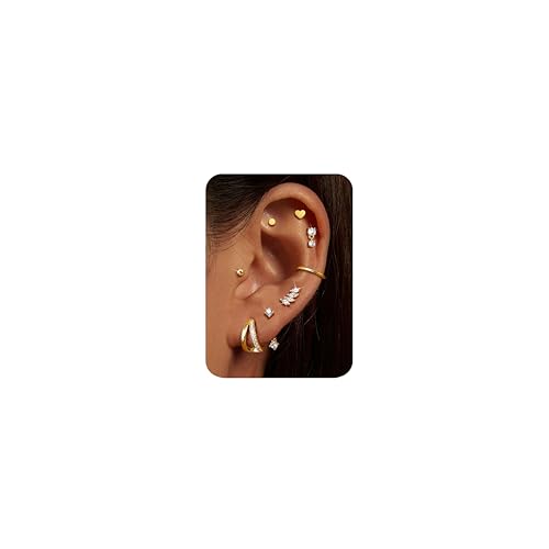 CASSIECA 8 Paar Piercing Ohr Gold, 316L Chirurgenstahl Ohrringe für Damen Herren Medizinische Ohrstecker und Creolen für Mehrfachpiercing 14K Vergoldet Helix Tragus Piercing Ohr Gold CASSIECA 8 Paar Piercing Ohr Gold, 316L Chirurgenstahl Ohrringe für Damen Herren Medizinische Ohrstecker und Creolen für Mehrfachpiercing 14K Vergoldet Helix Tragus Piercing Ohr Gold von CASSIECA