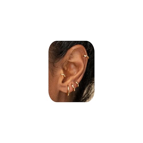 CASSIECA Gold Ohrringe für Damen Herren Ohrringe Chirurgenstahl Damen Creolen Gold Knorpel Ohrringe Huggie Ohrringe Nase Lippen Helix Piercing Schläferohrringe 8/10/12/14/16MM von CASSIECA