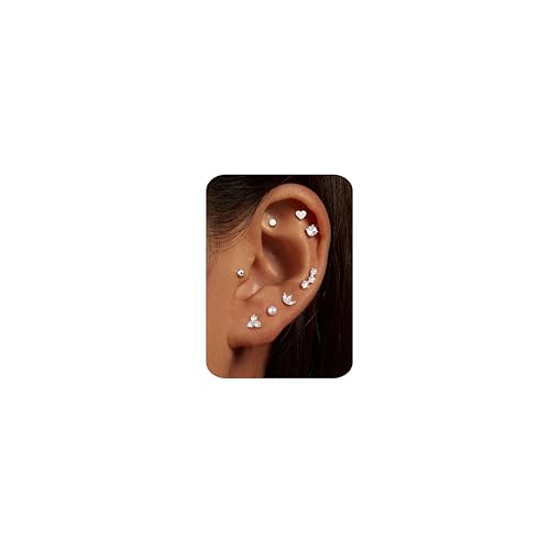 CASSIECA 8 Paar Ohrringe Silber Set, 316L Chirurgenstahl Ohrringe für Damen Herren Medizinische Ohrstecker und Creolen für Mehrfachpiercing 14K Vergoldet Helix Tragus Piercing Ohr Silber CASSIECA 8 Paar Ohrringe Silber Set, 316L Chirurgenstahl Ohrringe für Damen Herren Medizinische Ohrstecker und Creolen für Mehrfachpiercing 14K Vergoldet Helix Tragus Piercing Ohr Silber von CASSIECA