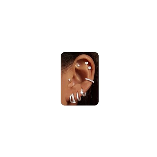 CASSIECA 8 Paar Ohrringe Silber, 316L Chirurgenstahl Ohrringe für Damen Herren Medizinische Ohrstecker und Creolen für Mehrfachpiercing 14K Vergoldet Helix Tragus Piercing Ohr Silber CASSIECA 8 Paar Ohrringe Silber, 316L Chirurgenstahl Ohrringe für Damen Herren Medizinische Ohrstecker und Creolen für Mehrfachpiercing 14K Vergoldet Helix Tragus Piercing Ohr Silber von CASSIECA